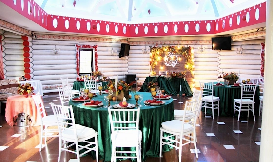 Фото №5 зала Зал «ПЕТRUШКА»