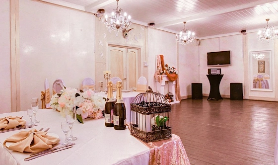 Фото №4 зала Зал «Каминный»