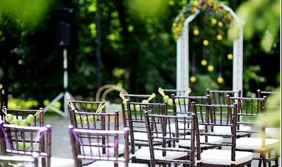 Фото №13 зала Летняя веранда