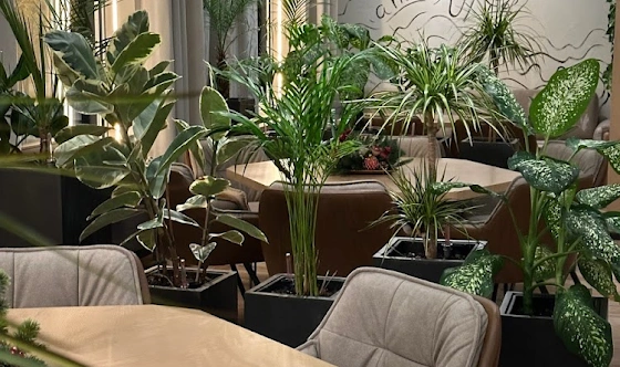 Фото №6 зала Ресторан «Корова A More»