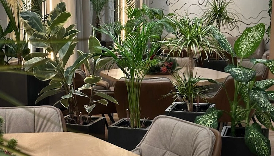 Фото №6 зала Ресторан «Корова A More»