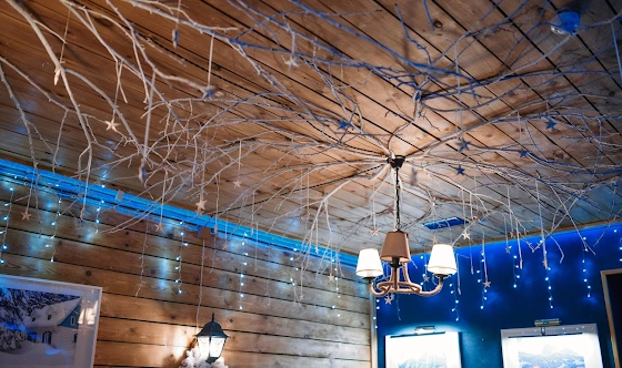 Фото №9 зала VIP зал