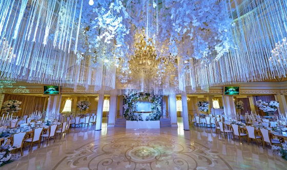 Фото №1 зала Большой банкетный зал