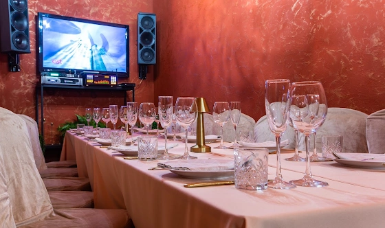 Фото №7 зала VIP-Караоке