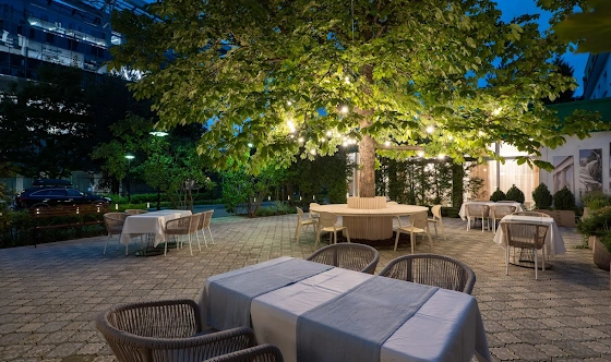 Фото №17 зала Летняя веранда 