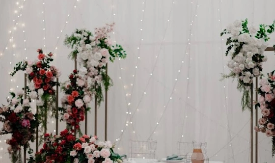 Фото №2 зала Сосновый бор