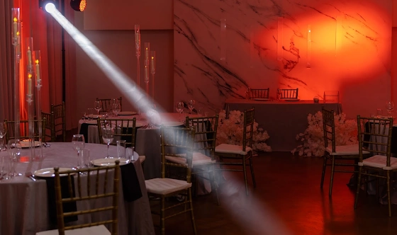 Фото №17 зала Большой зал 