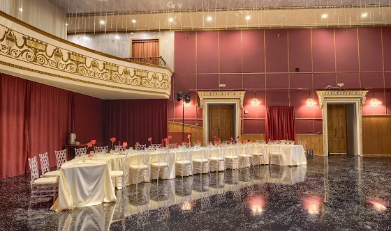 Фото №9 зала Зал «Хрустальный»