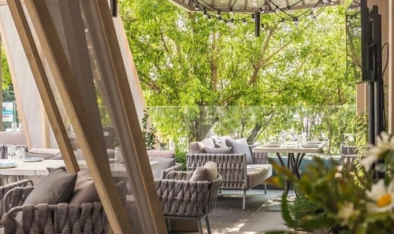 Фото №5 зала Летняя терраса