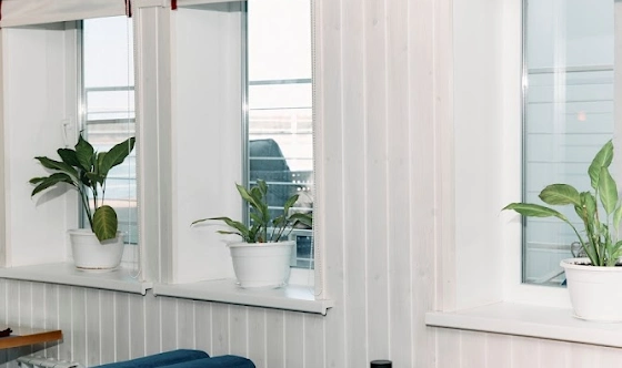 Фото №12 зала Кафе