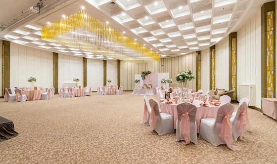 Фото №11 зала Зал «Россини» 