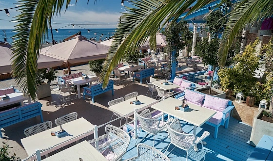 Фото №3 зала Летняя веранда