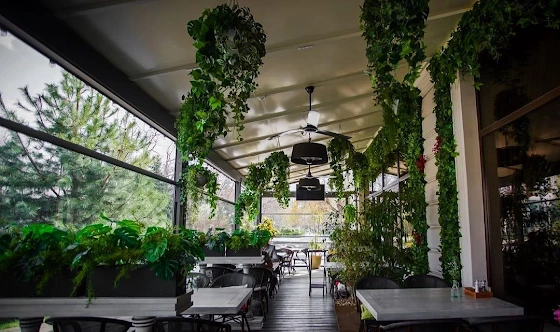 Фото №1 зала Летняя веранда