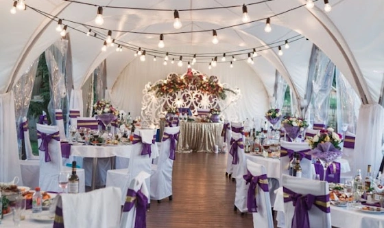 Фото №14 зала Шатер