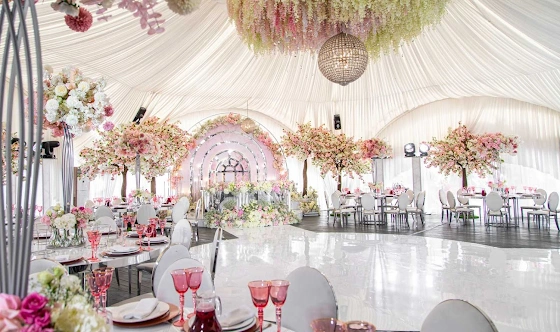 Фото №2 зала Шатер