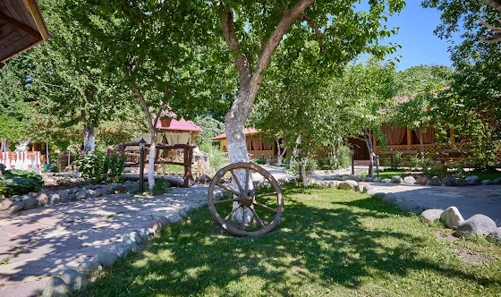 Фото №12 зала Летняя терраса