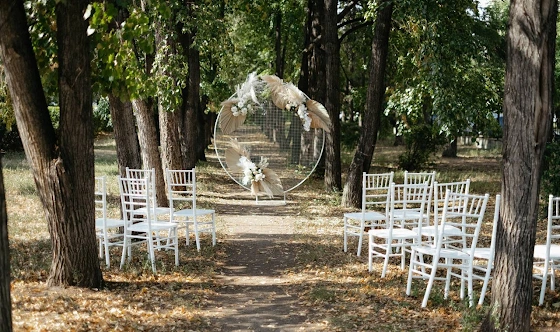 Фото №1 зала Аллея деревьев