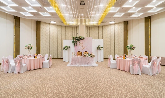 Фото №8 зала Зал «Россини» 