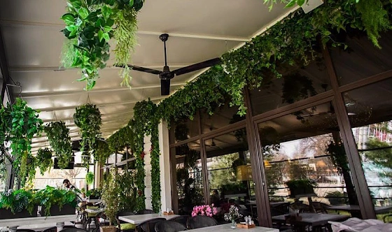 Фото №2 зала Летняя веранда