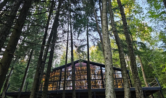 Фото №19 зала Веранда «Дивный Лес»