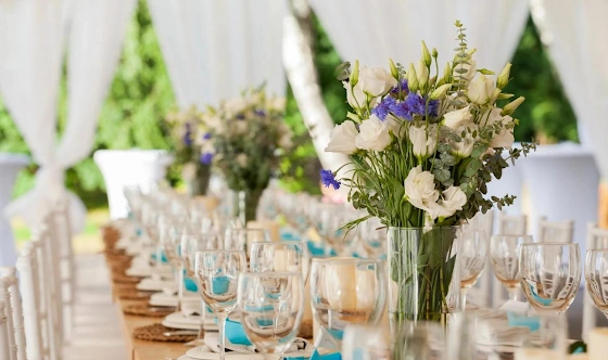 Фото №8 зала Малый шатер