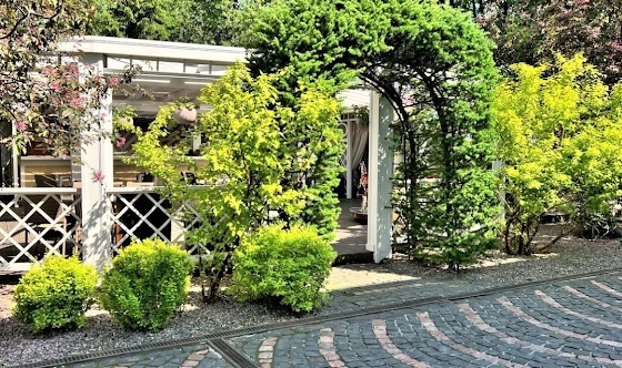 Фото №4 зала Веранда