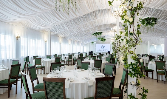 Фото №5 зала Зал «Аэлита»