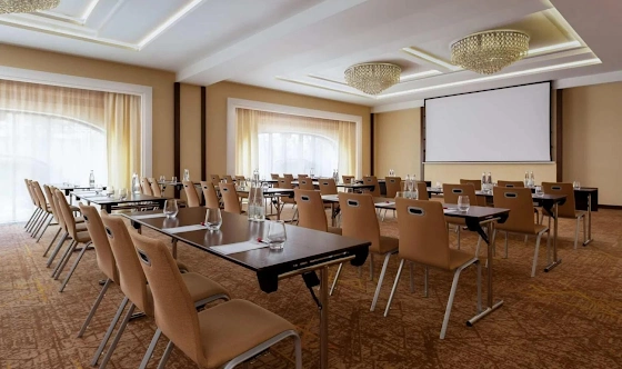 Фото №14 зала Зал «Чайковский»