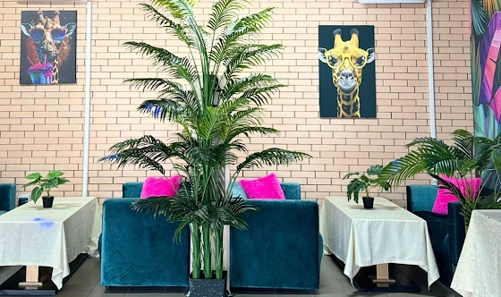 Фото №20 зала Зал "Каррера"