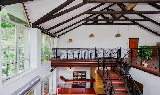 Фото №11 зала Ресторан «Лес»