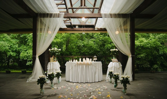 Фото №12 зала Летняя веранда