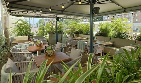 Фото №2 зала Летняя веранда