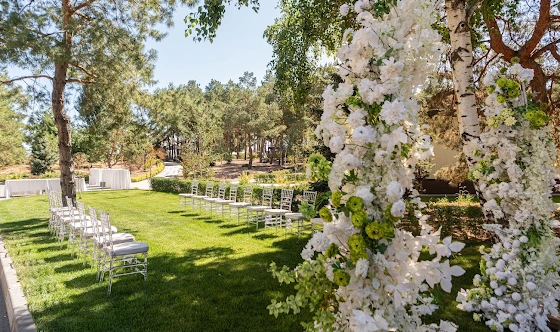 Фото №19 зала Шатер 