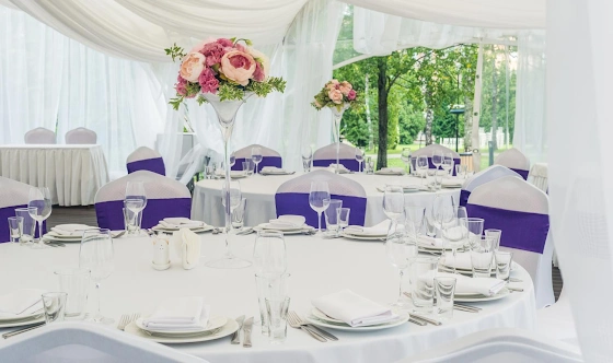 Фото №7 зала Шатер Sky