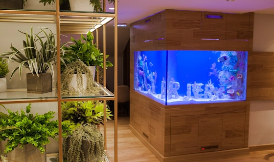 Фото №6 зала Зал "River"