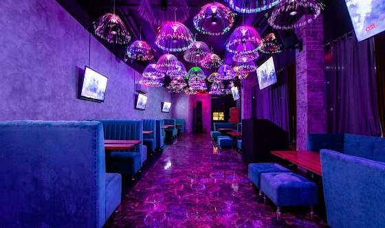 Фото №16 зала Караоке «ОРИОН»