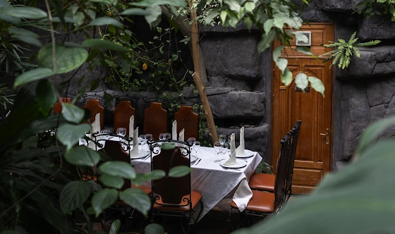 Фото №10 зала Зал «Зимний сад»