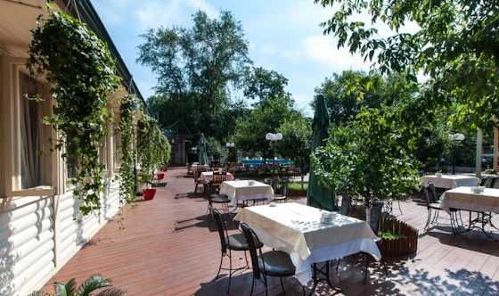 Фото №1 зала Летняя веранда