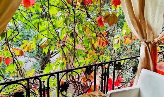 Фото №4 зала Летние балконы 