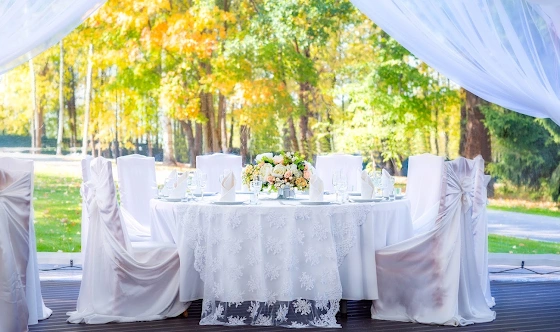 Фото №19 зала Шатер Sky