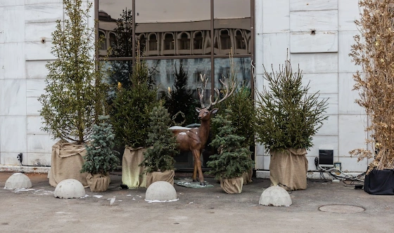 Фото №17 зала Большой VIP-зал