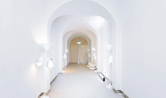 Фото №5 зала Зал "Сююмбике"