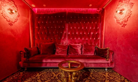 Фото №9 зала Банкетный зал с караоке