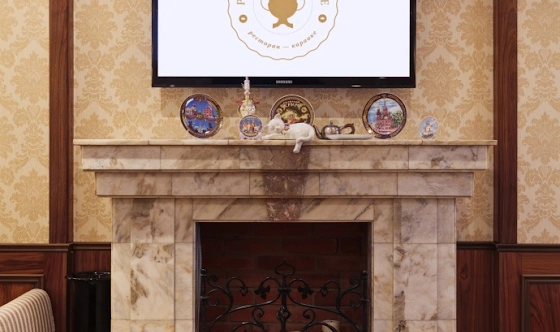 Фото №4 зала Зал «Каминный»