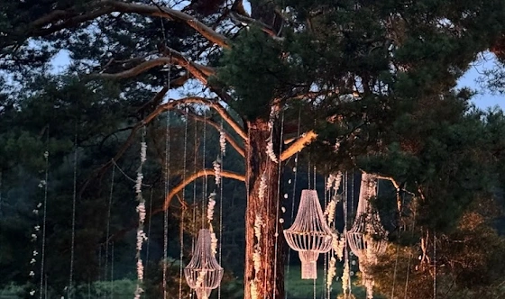 Фото №20 зала Банкетный зал