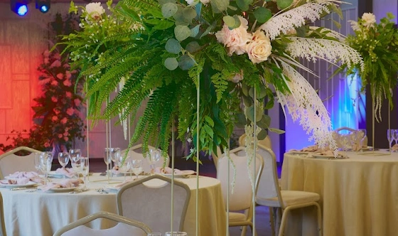 Фото №10 зала Основной зал 