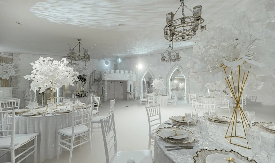 Фото №14 зала Зеркальный зал