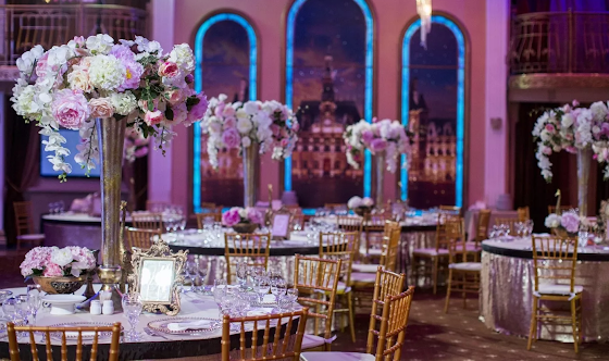 Фото №10 зала Зал «Николаевский»