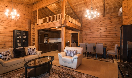 Фото №16 зала Альпийские дома "Западный поселок"