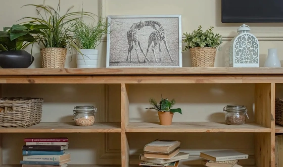 Фото №4 зала Vip комната